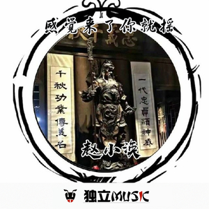 沈城上劲冲击波（DJ版）