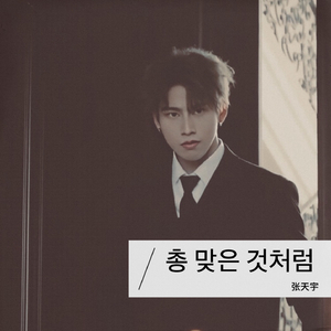 신비로운 걸