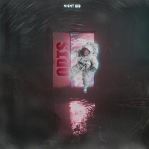 ODTS (Opened Door To Space)