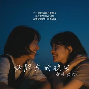 好朋友的晚安  (Remix)