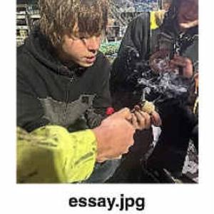 essay