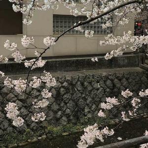 “你是属于我最美的故事.”