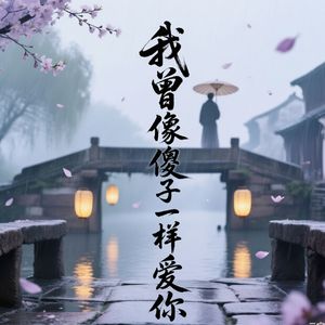 我曾像傻子一样爱你