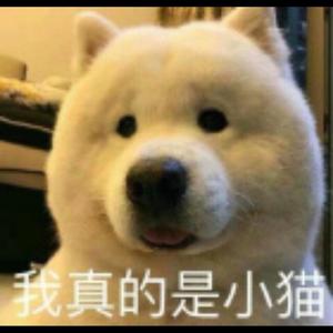 满腹经纶苟正义