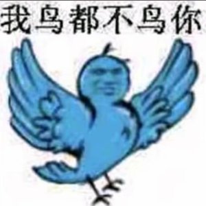 春