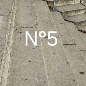N°5
