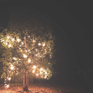 好久不见（Demo）