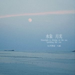 水象月光