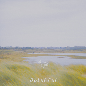 Bokul Ful