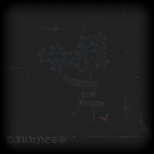 Darkness (feat. ANGELIX)