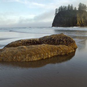 一个对丈夫已经彻底失望的女人