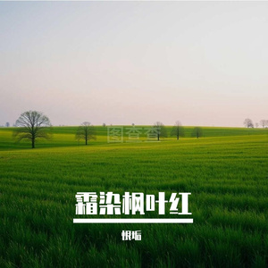 霜染枫叶红