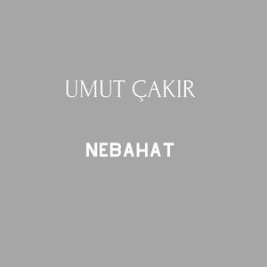 Nebahat