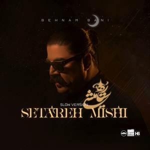 Setareh Mishi (Slow Version)