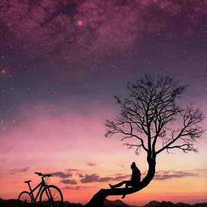 我想要的都不会害怕 伴奏