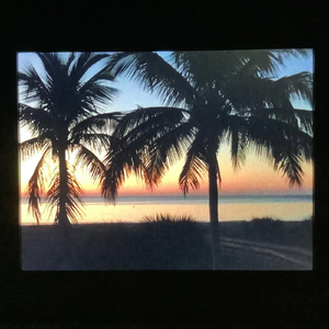 Feels Like Paradise