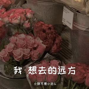 牧马城市