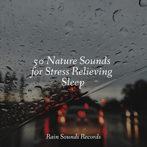 Echoes of Rust and Concrete