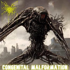 Congenital Malformation