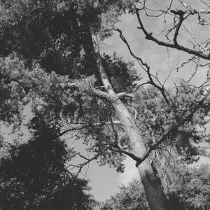 一尘不染时刻印象数