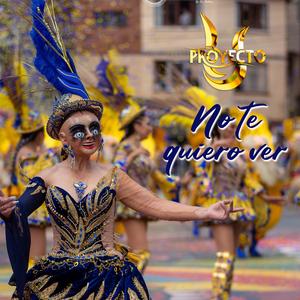 No Te Quiero Ver