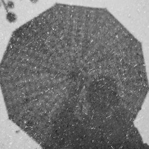 这一生关于你的风景