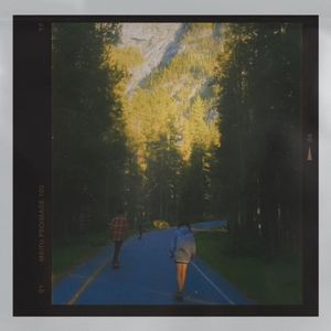 《花和录像带》