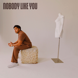 Nobody Like You