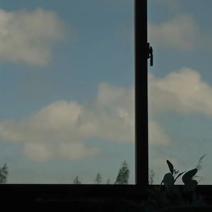 和你最后一个雨天