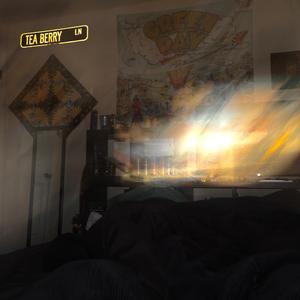 carabiner (original version)