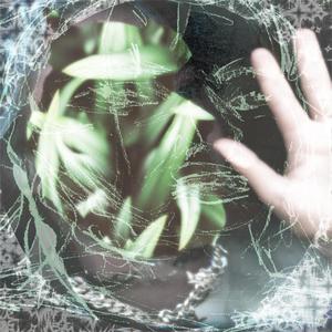 ontological research