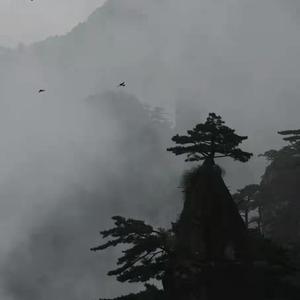 梦（prod.by Morrow）