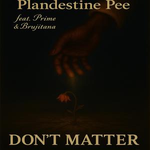 Don't Matter (feat. Prime, Brujitana, Demitri Walker & Rod Williams)