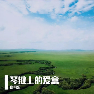 琴音中的爱与花海