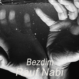 Bezdim
