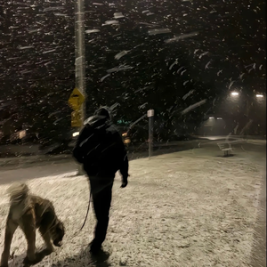 雪吻