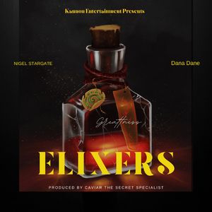 ELIXERS