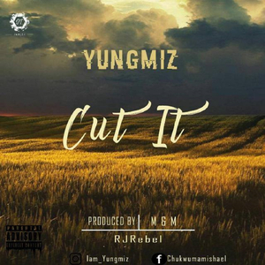 Cut It