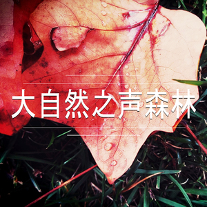 大自然之声森林,3部