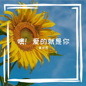 噢!爱的就是你Demo