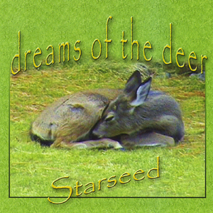 Morning in the Meadow