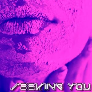 Seeking You (feat. Sowbhagya)