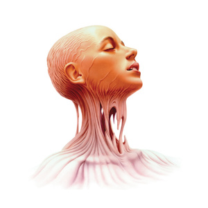 X Girl (Polymorphic Womp Remix)