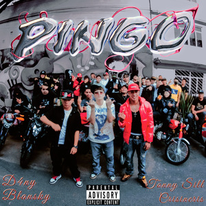 Pingo