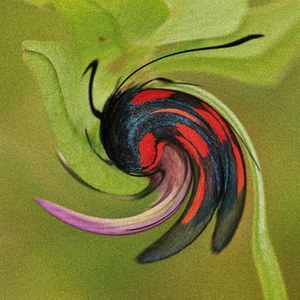 Euraquilo