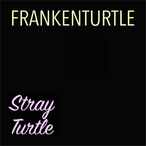 Frankenturtle