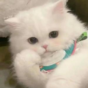 杨凯林和刘赞权的校园爱情