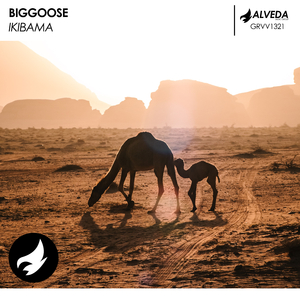 Ikibama (Radio Edit)