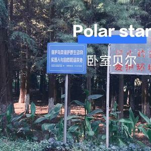 Polar Star
