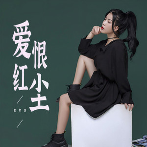 爱恨红尘 (Dj阿卓版)